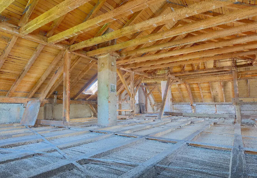 Detailreiche Punktwolke eines Dachstuhls. Präzise 3D Vermessung als Grundlage für Planung, Sanierung und Holzbau.
