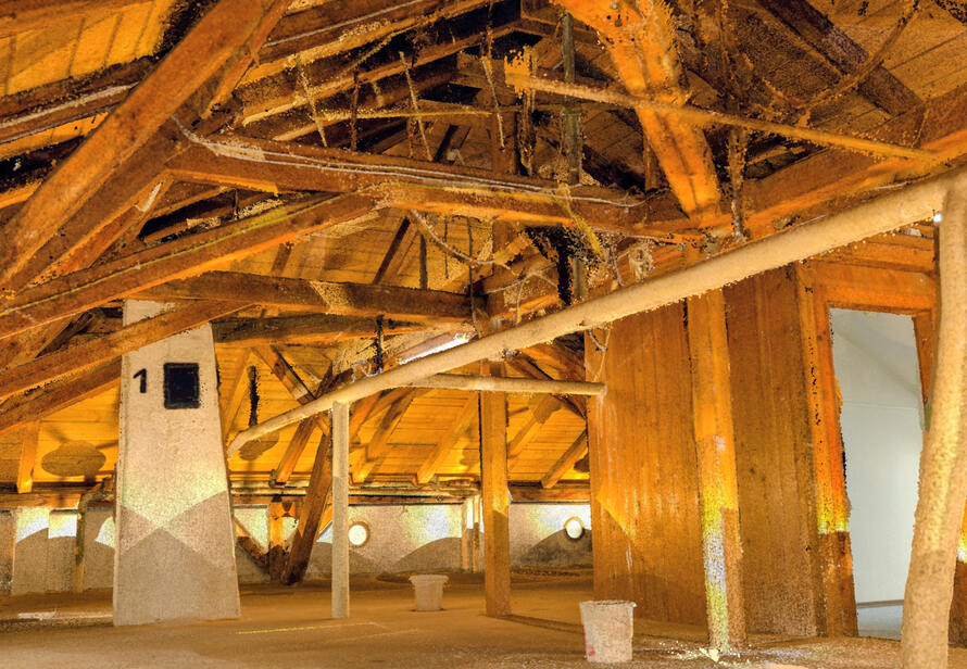 Die Innenaufnahme der Punktwolke zeigt den Dachstuhl des Heglerhauses mit Holzbalken, Dachflächen und konstruktiven Details für die digitale Bestandsaufnahme.