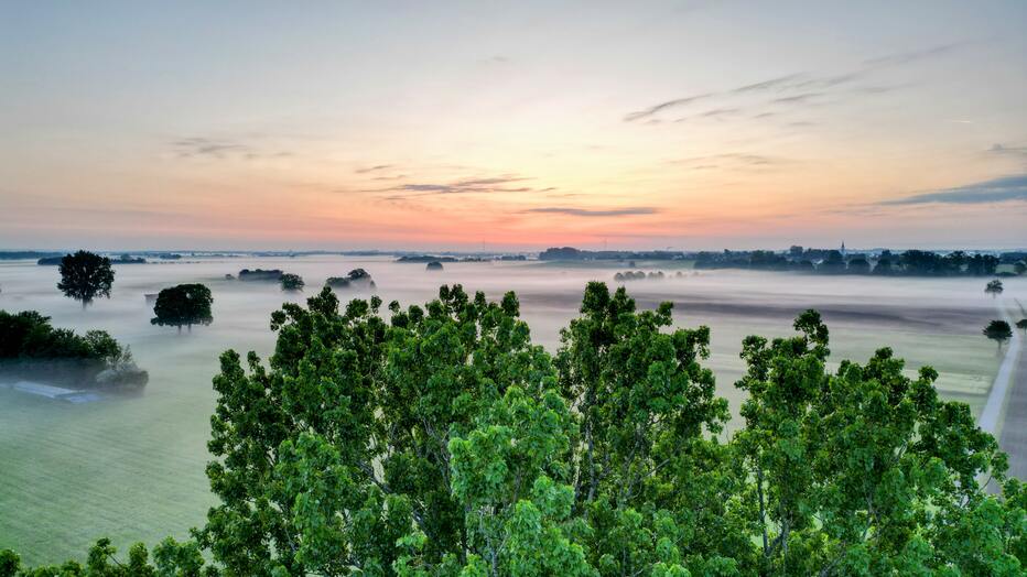 Drohnenaufnahme einer Landschaft im Morgennebel mit Feldern, Bäumen und weiter Aussicht.